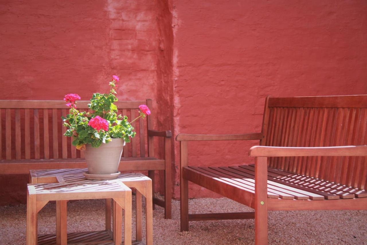 Vakantiewoning Villa Elena ニーウポールト エクステリア 写真