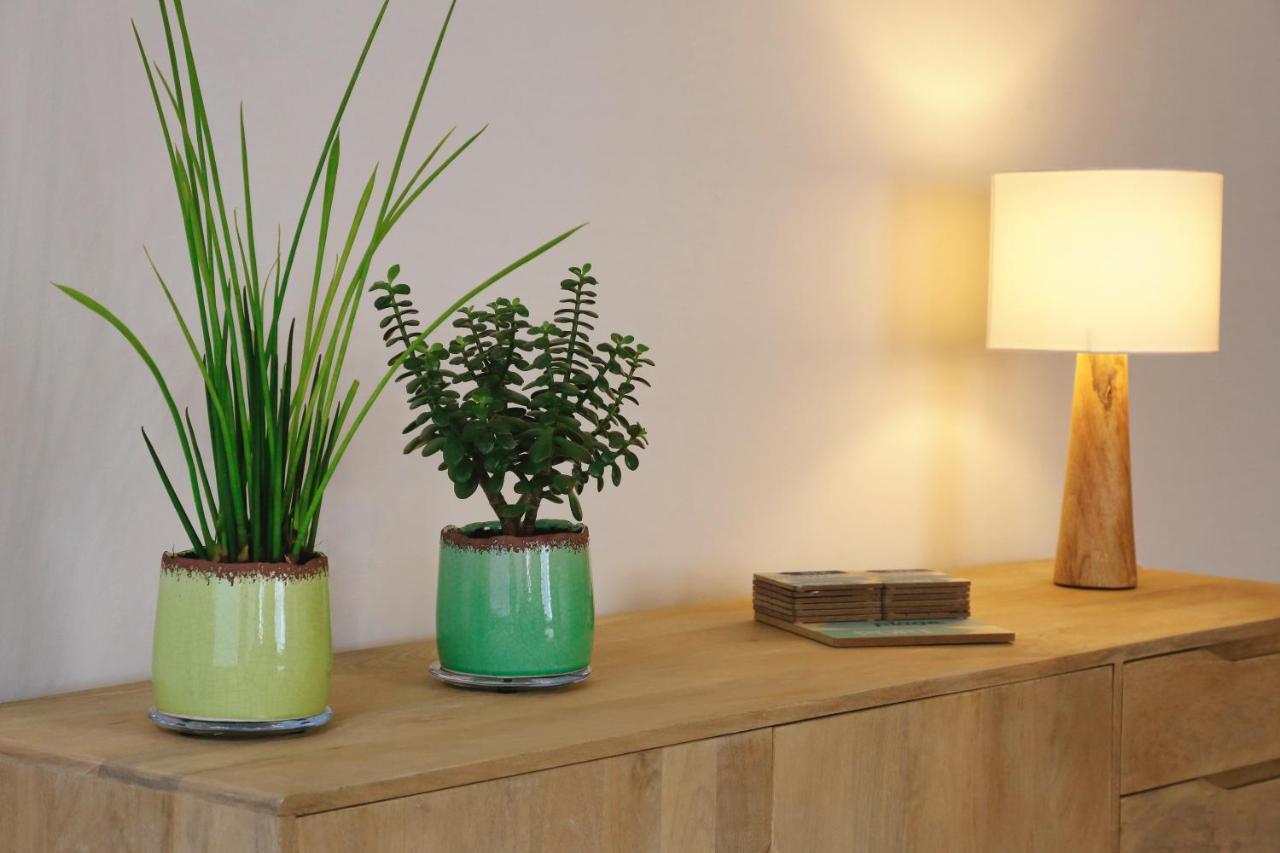 Vakantiewoning Villa Elena ニーウポールト エクステリア 写真